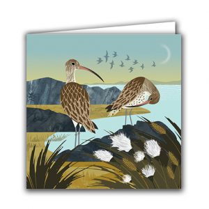 SBC23 Curlews and Cotton Grass