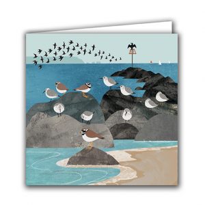 SBC25 Dunlin and Ringed Plover