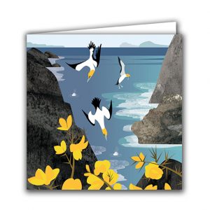 SBC24 Diving Gannets