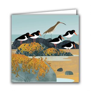 SBC22 Curlew and Oystercatchers