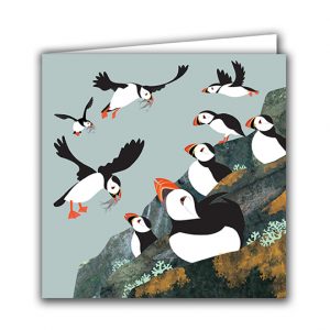 SBC26 Puffin Colony