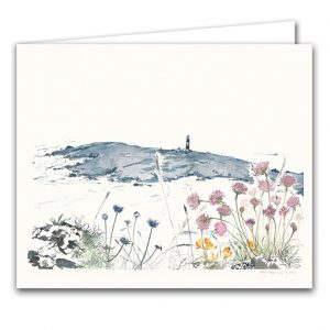 SBC34 Bardsey Lighthouse and Thrift Flowers