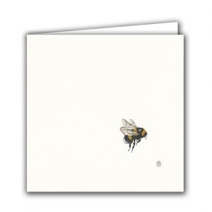 SBC31 Bumblebee