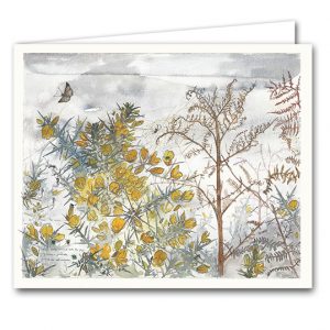 SBC35 Gorse, Bracken and Spiders