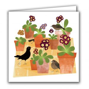 SBC21 Blackbirds and Auricula
