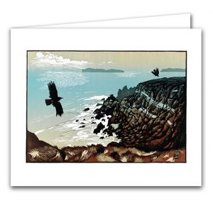 IGC60 Chough Chasing