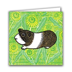 IGC151 Guinea Pig