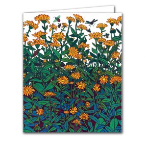 SBC308 Calendula