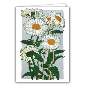 SBC314 Chamomile Flowers
