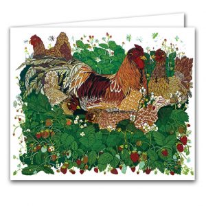 SBC315 Chickens
