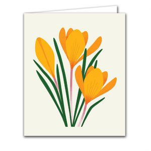 SBC317 Crocus