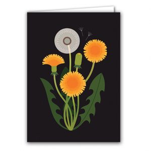 SBC318 Dandelion
