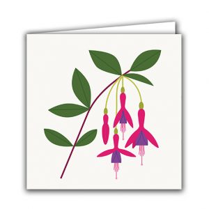 SBC319 Fuchsia