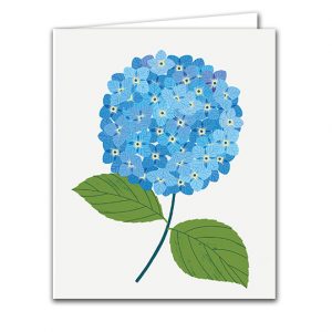 SBC323 Hydrangea