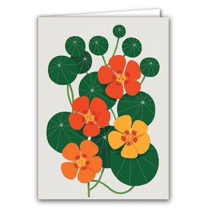 SBC327 Nasturtium