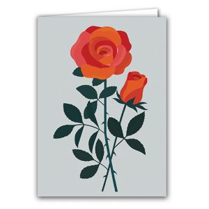 SBC329 Rose