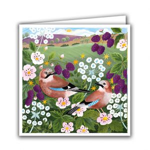 SBC336 Pair of Jays
