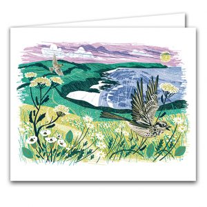 SBC343 Gerrans Bay Skylarks