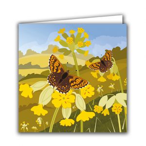 SBC349 Cowslips and Duke of Burgundy Butterflies
