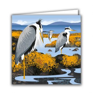 SBC352 Herons in the Hebrides