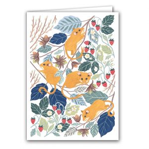 SBC359 Hazel Dormice
