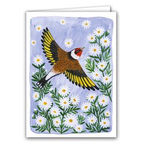 SBC365 Goldfinch