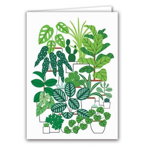 SBC322 House Plants