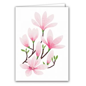 SBC324 Magnolia