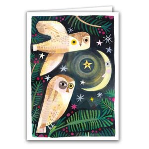 SBC381 Winter Owls