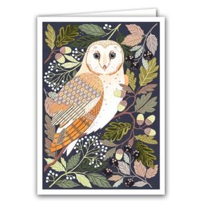 SBC386 Barn Owl