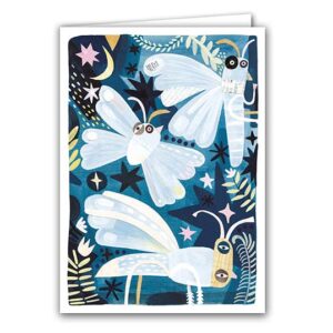 Silk Worm Moths