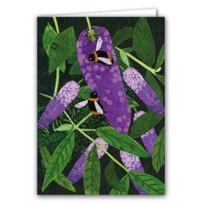Bumblebees on Buddleia