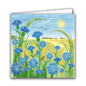 Cornflowers