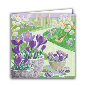 Crocus and Thrush