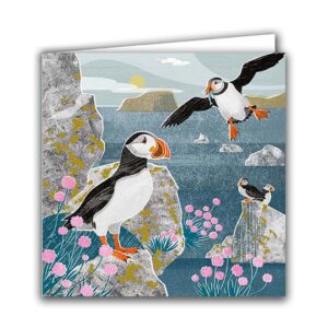 Puffins