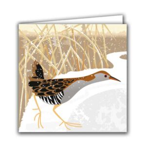 Water Rail and Frozen Pond Christmas Card
