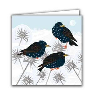 Starlings, Frosty Thistles Christmas Card